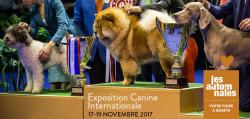 affiche Exposition Canine Internationale 2017
