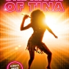 affiche ONE NIGHT OF TINA - A Tribute to the music of Tina Turner